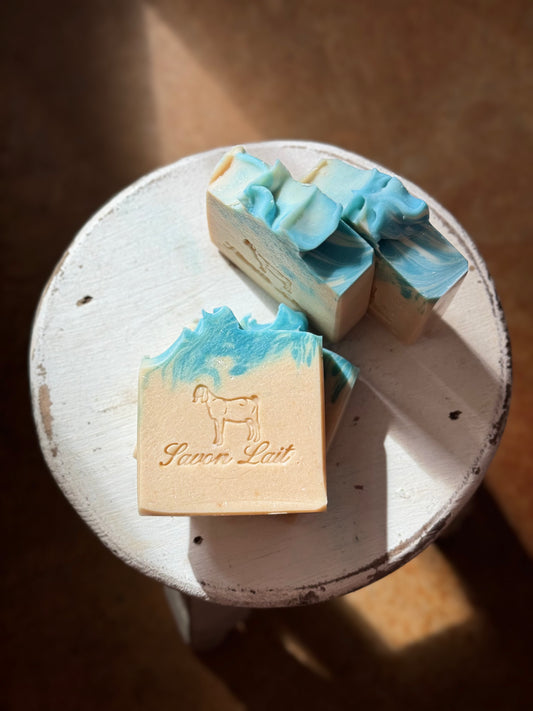 Aqua di Gio (type) goat milk soap